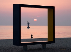 A rare framing opportunity. (Photo by Ben Chen)