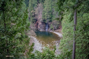 This is William Li's view from the bridge.